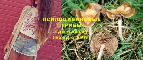 спайс Нефтекумск