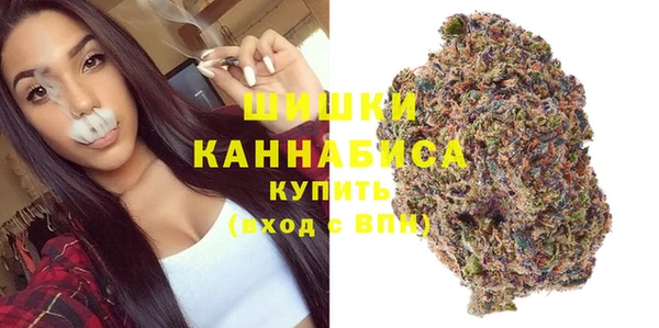 шишки Новозыбков