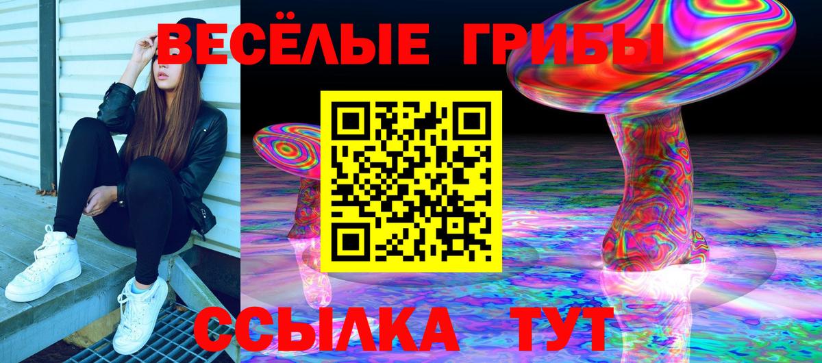 Галлюциногенные грибы мухоморы  магазин    Карачаевск  Псилоцибиновые грибы Magic Shrooms 