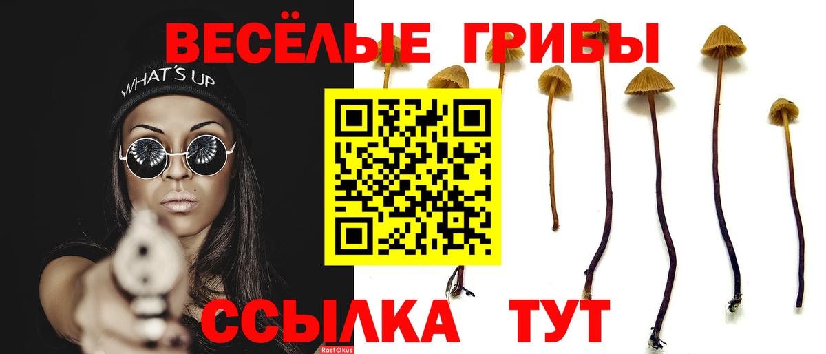 Галлюциногенные грибы ЛСД  Псилоцибиновые грибы Cubensis  Карачаевск  Вход с VPN 